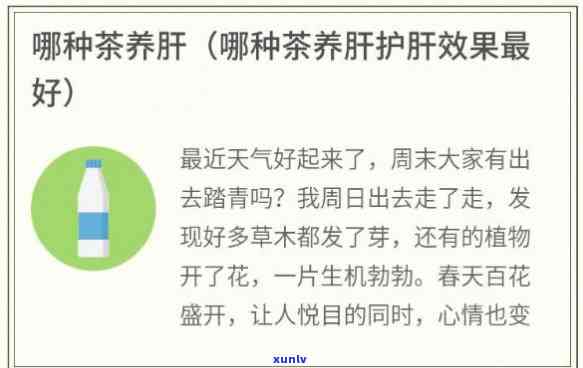 什么茶可以疏肝理气养心？详解养心良品与疏肝妙法