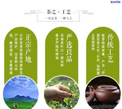 石阡苔茶特点及功效，探秘石阡苔茶：特点与神奇功效