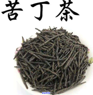 小丁苦茶的作用：百度百科与图片解析