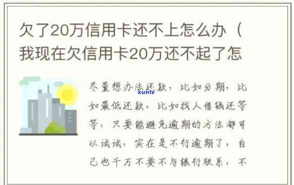 欠二十五万信用卡怎么办理手续？详细步骤详解