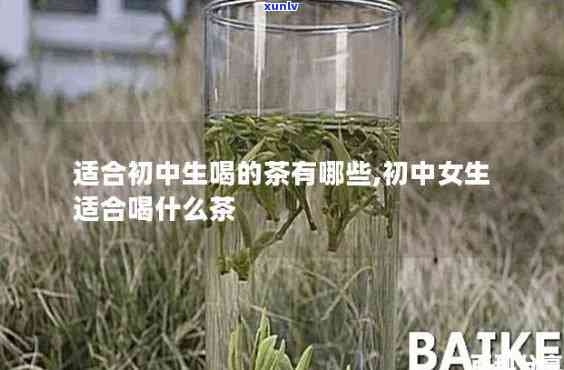 初中生喝什么茶？适合青少年的健饮品推荐