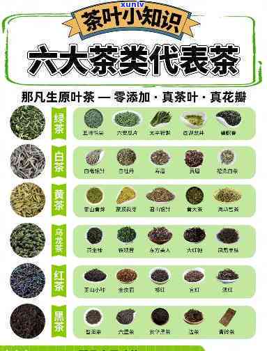 一壶50元叫什么茶名，探秘茶叶世界：一壶售价50元的神秘茶种大揭秘！