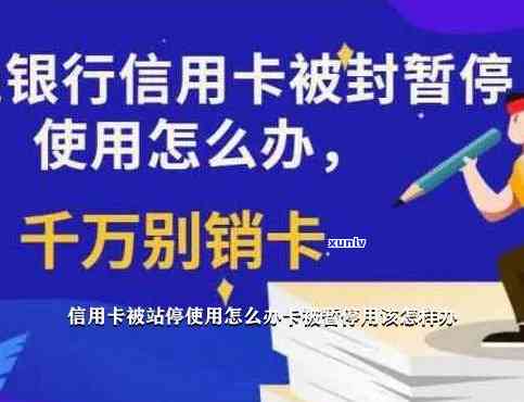 停信用卡需要什么手续费，关于停用信用卡，你需要留意的手续费疑问