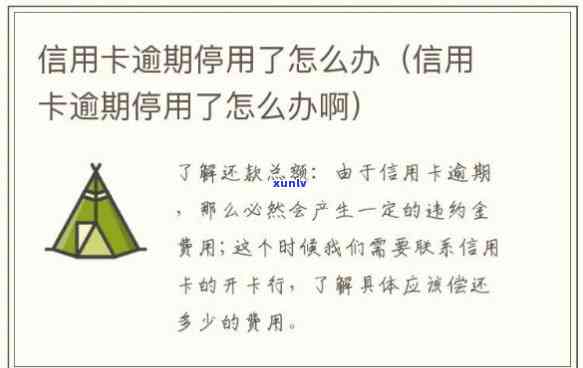 想停掉信用卡需要什么手续，停止采用信用卡的完整指南：你需要知道的所有步骤