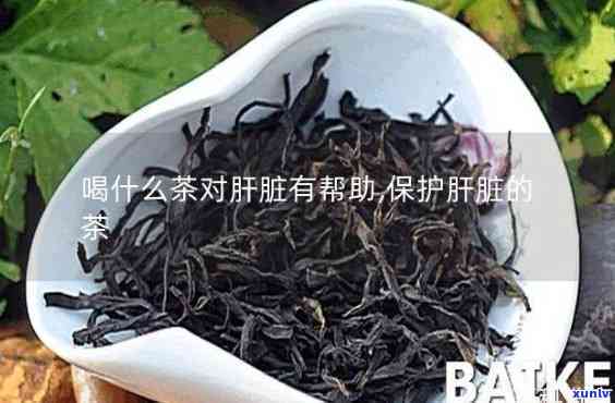 肝脏喝什么茶叶，肝脏保健：哪种茶叶最适合饮用？