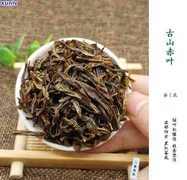 古山赤叶茶：究竟属于什么类型的茶？