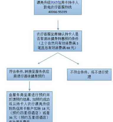 详解信用卡停息挂账办理流程：步骤、图解与视频教程