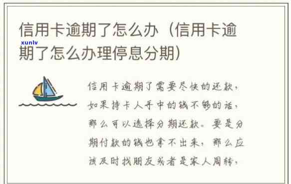 信用卡逾期怎么办理分期还款手续-信用卡逾期怎么办理分期还款手续费