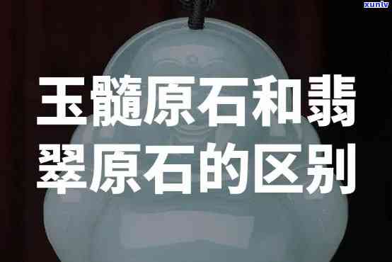 翡翠原石和玉原石有什么区别，解密翡翠与玉：原石有何不同？