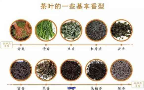 香茗是什么茶叶，揭开香茗神秘面纱：它到底是一种什么类型的茶叶？