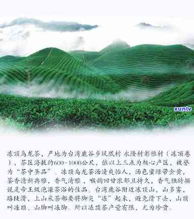 鹿谷清幽高山乌龙茶价格介绍及相关产品售价信息