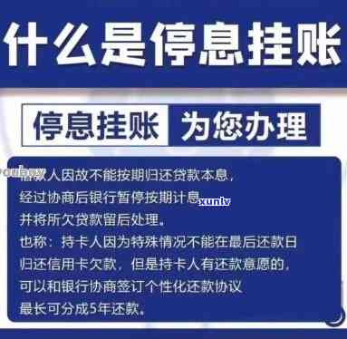 停息挂账术语，深入熟悉停息挂账术语：你的债务疑问的解决方案