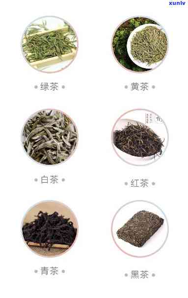 轻微发酵茶是什么茶类，揭示茶叶新品种：轻微发酵茶属于哪种茶类？