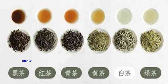 轻微发酵的茶是哪类茶？详解各类茶叶的特点与区别