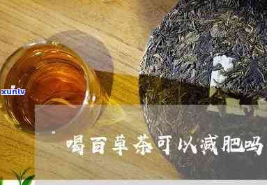 百草茶属于哪类减肥，揭秘百草茶的减肥功效：它属于哪一类？