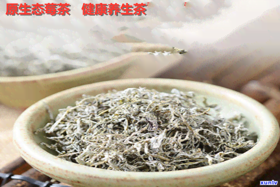 土家贡莓茶是什么茶-土家贡莓茶是什么茶叶