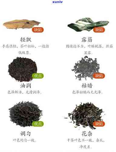 卷成一团的是什么茶叶？识别茶叶品种与查看图片