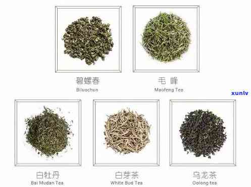 卷成一团的是什么茶叶？识别茶叶品种与查看图片