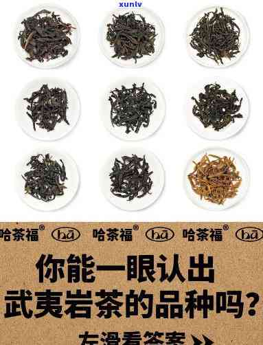 卷成一团的是什么茶叶？识别茶叶品种与查看图片