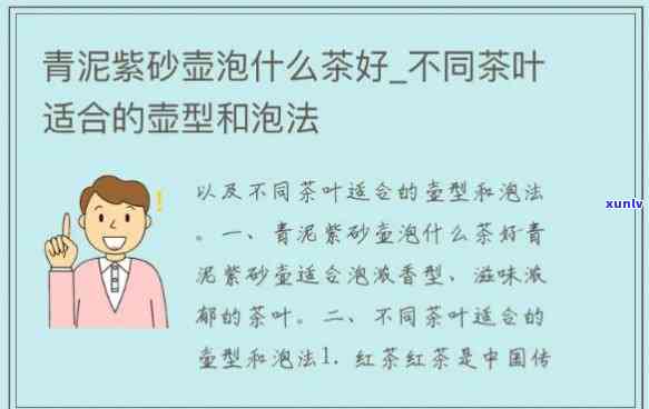 清水泥调砂泡哪种茶？口感、香气全方位解析