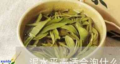 清水泥适合泡什么茶，探索茶叶新口感：清水泥适配哪些茶？