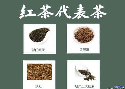 主要产什么茶类，揭秘：主要产哪些茶类？