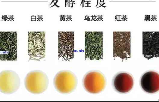 后发酵的茶是什么茶-后发酵的茶是什么茶叶