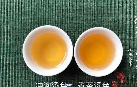 什么茶适合大杯冲泡？绿茶、白茶和乌龙茶是选择！