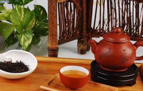 什么茶适合用茶壶泡茶，如何选择适合用茶壶泡的茶叶？