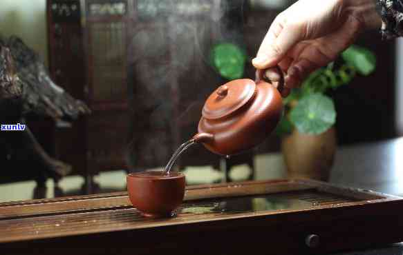 什么茶适合茶壶泡？详解各类茶叶冲泡技巧