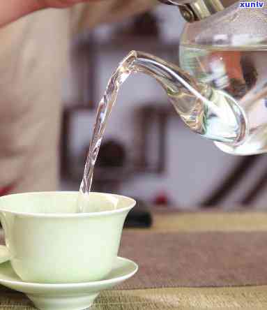 什么茶适合冷水冲泡-什么茶适合冷水冲泡喝