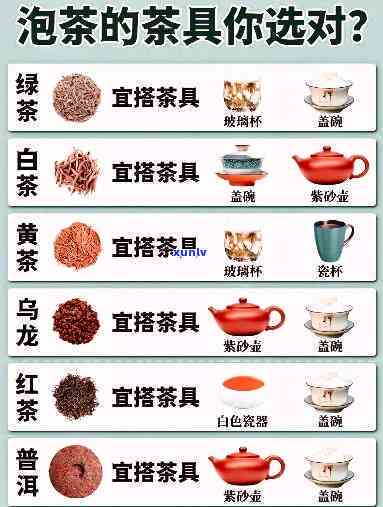 什么茶配什么杯？泡茶与饮用的选择