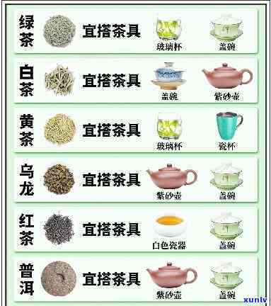 什么茶适合用杯子冲泡？绿茶、黄茶、白茶等；泡在杯中，花茶、乌龙茶更美；选择何种杯子，看个人喜好与茶叶特性。