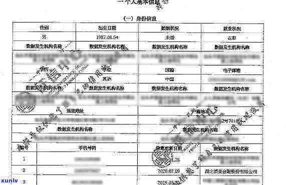 支付宝花呗逾期如何查询报告及记录？