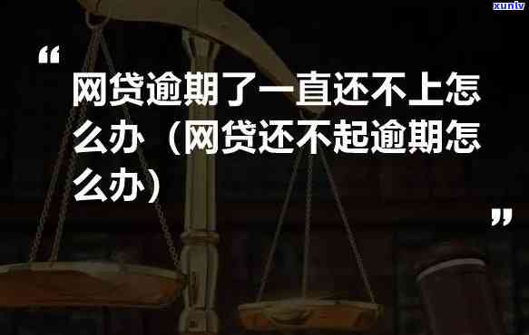 多家网贷逾期还不上怎么办呀-多家网贷逾期还不上怎么办呀怎么投诉