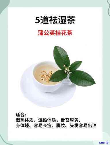 能除湿的茶是什么茶啊，揭秘能除湿的神奇茶叶，你知道是什么吗？