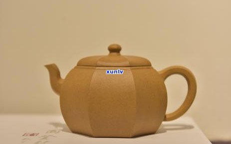 能祛湿的茶是什么茶，揭秘祛湿神器：哪些茶具有祛湿功效？