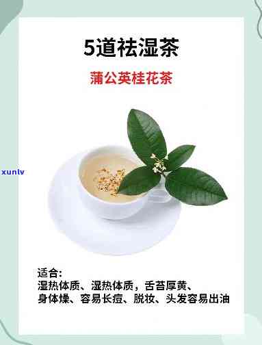 能除湿的茶是什么茶-能除湿的茶是什么茶叶