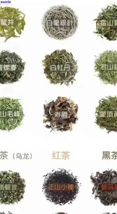 青城山名茶是什么茶，探秘中国四川成都的青城山名茶，它到底是什么茶？