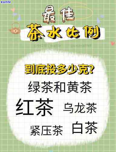 17岁轻茶：泡法、口感与品种全解析