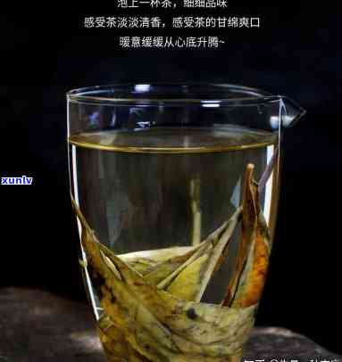 像干枯树叶是什么茶-像干枯树叶是什么茶类