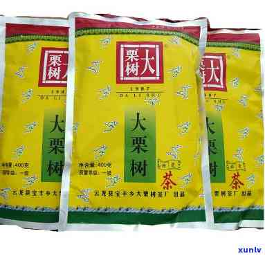 大栗树茶属于什么茶-大栗树茶属于什么茶类