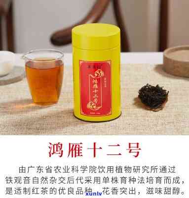 鸿雁十二号是红茶还是绿茶，揭秘鸿雁十二号：它是红茶还是绿茶？