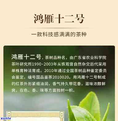 鸿雁十二号是红茶还是绿茶，揭秘鸿雁十二号：它是红茶还是绿茶？