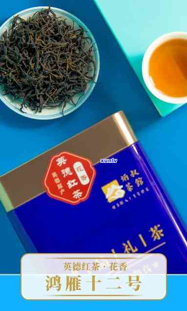 鸿雁十二号是什么茶-鸿雁十二号是什么茶和什么茶杂交后代育