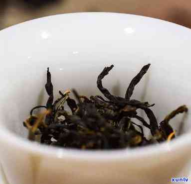 鸿雁十二号是什么茶-鸿雁十二号是什么茶和什么茶杂交后代育