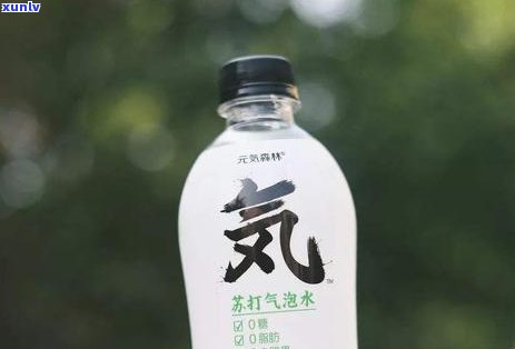 人大都喜欢喝什么茶？探究人最喜欢的茶饮文化