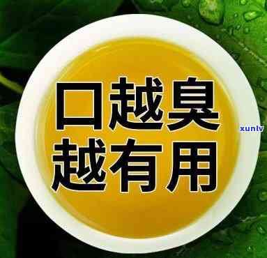 除口臭的茶是什么茶类？寻找最有效的 *** 