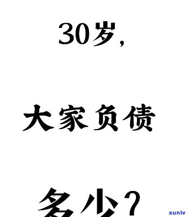 负债30万还不起了怎么办？紧急求助！