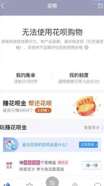 花呗网商贷不还：严重结果与作用是什么？